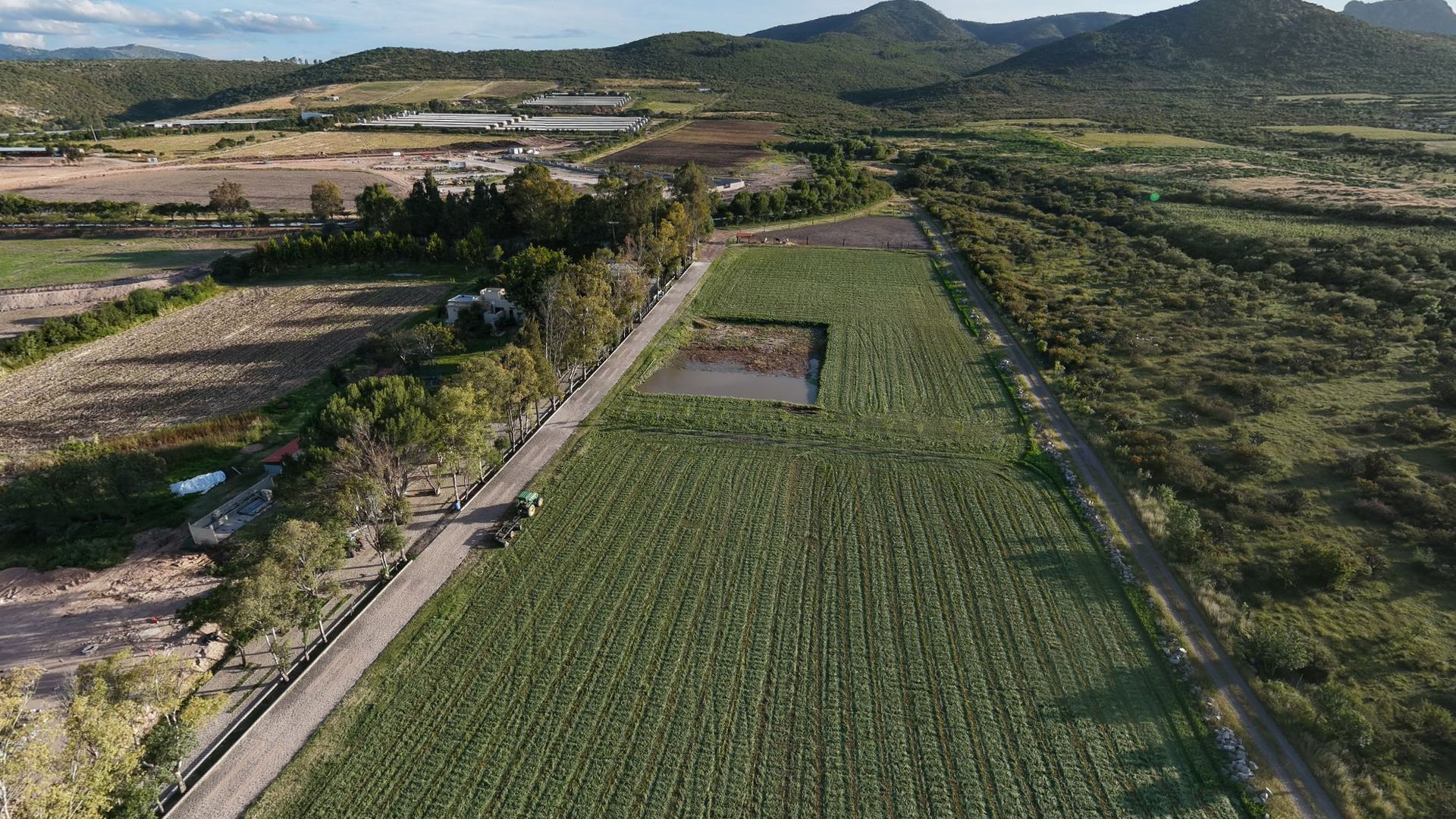 Hoy: el predio en surcos con el bordo, la calle empedrada y la sierra de Huimilpan