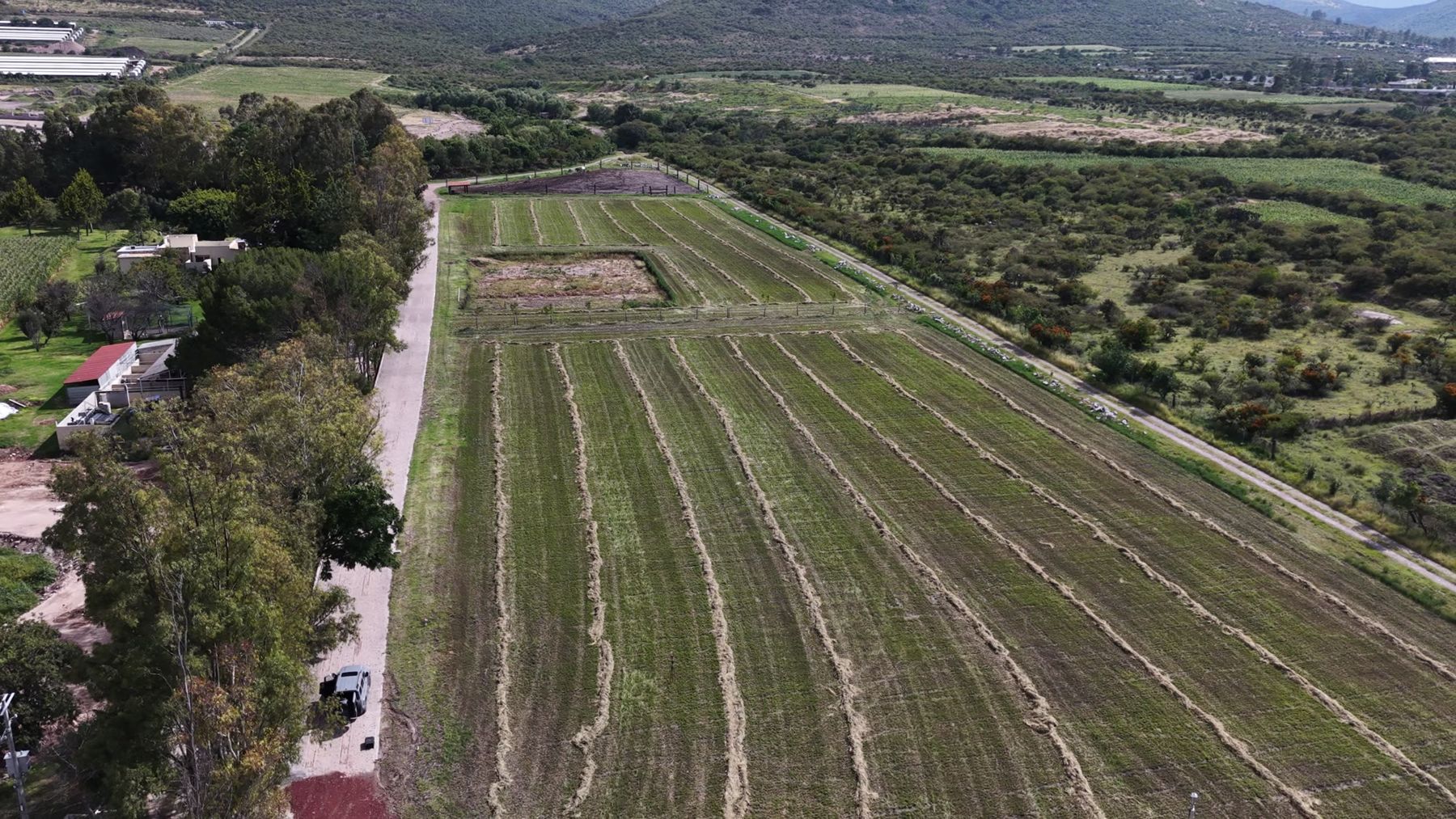 El terreno visto desde el aire: surcos, calzada de eucaliptos y la sierra